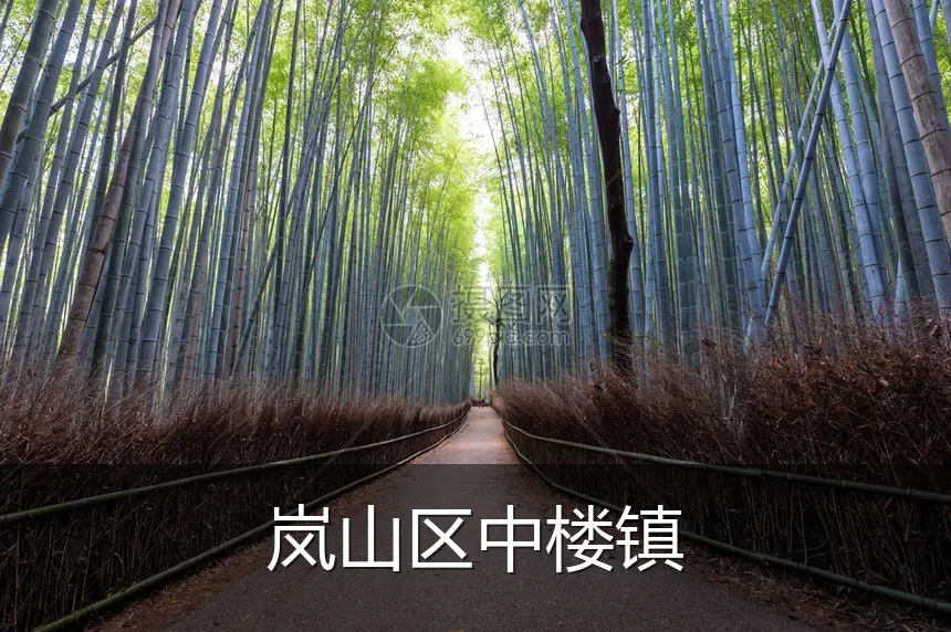 岚山区中楼镇